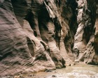 Things To Do At Zion National Park
