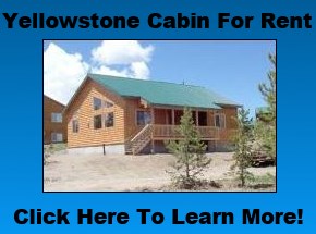 Yellowstone Cabin Rental